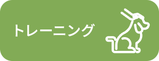 ・トレーニング