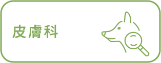皮膚科
